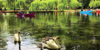 Pogradec & Drilon National Park on Lake Ohrid